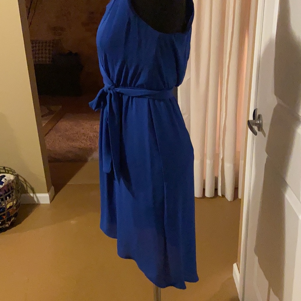 Express Dress - Picture 4 of 4